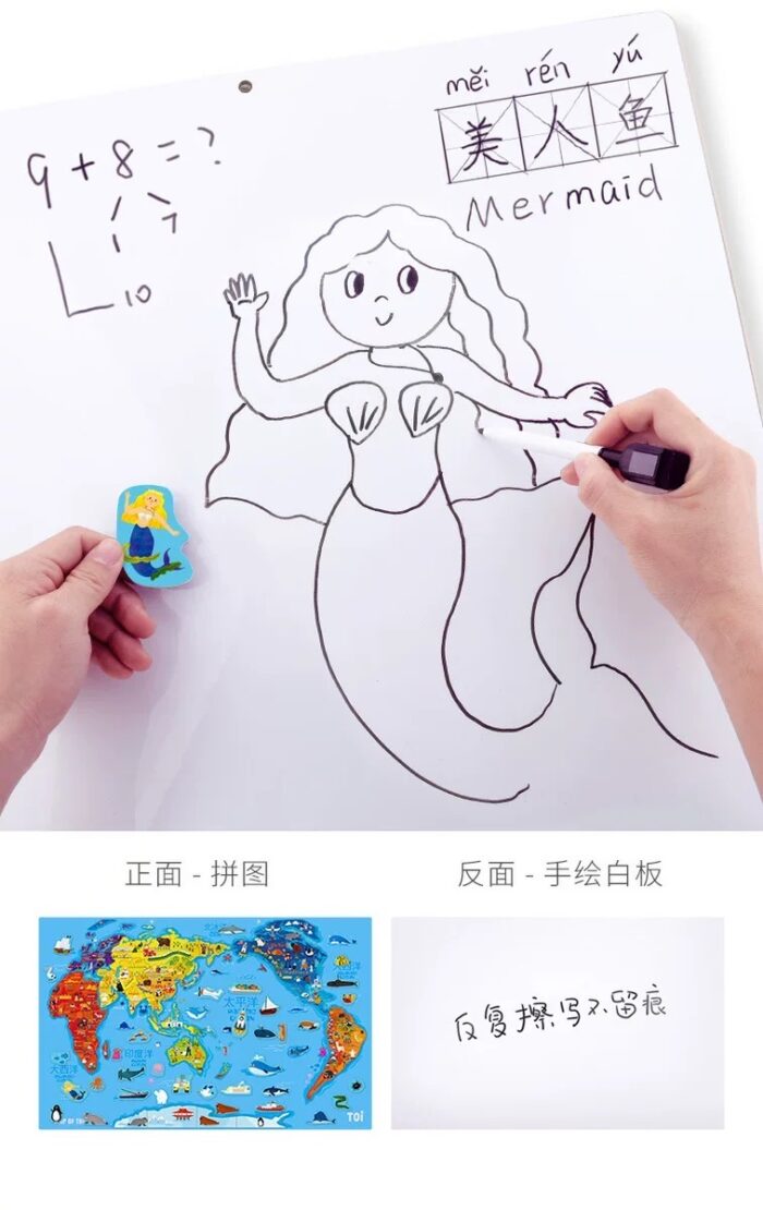 Toi Magnetic World Map - Image 12