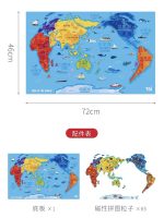 Toi Magnetic World Map - Image 11