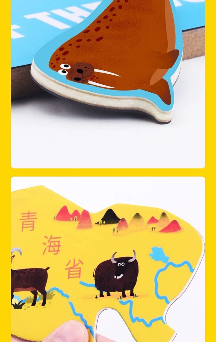 Toi Magnetic World Map - Image 4