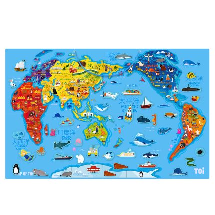 Toi Magnetic World Map