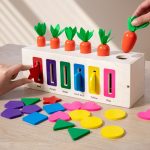 Montessori Sorting Color & Magnetic Maze Box