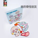 Human Body - My Bone Body - Image 3