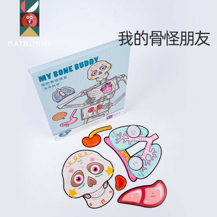 Human Body - My Bone Body - Image 3