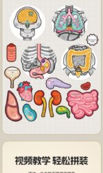 Human Body - My Bone Body - Image 2