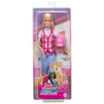 Barbie Mysteries : The Great Horse Chase