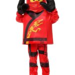 Costume Ninjago Character