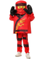 Costume Ninja Character