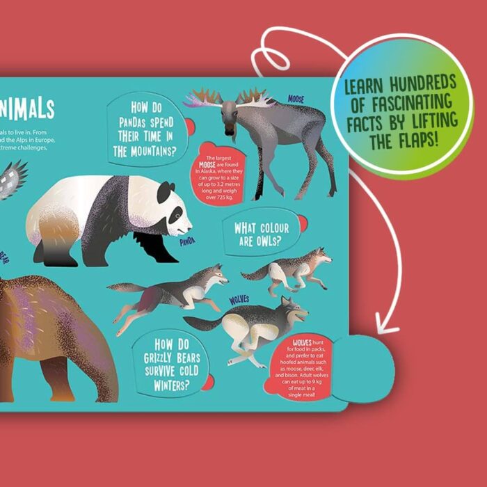 Seek & Find - Lift The Flap - Animals - Image 2