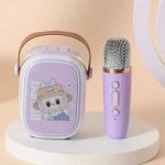 Speaker With Microphone Labubu