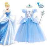 Costume - Disney Princess Cinderella