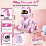 Interactive Remote Control R/C Robot Cat
